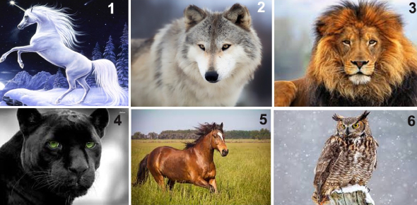 Spirit Animal Quiz For Kids: Find Out Your True Spirit Animal ...